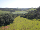 land For Sale in Vila do Bispo Faro Portugal