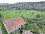 Farm with old house to recover near Chãos.