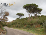 land For Sale in Tomar Santarém Portugal