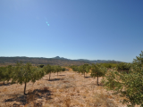 Building Plot For Sale in Macisvenda, Murcia, Spain
