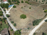Rustic Land with Approved Project for One-Bedroom Wooden Home near Avecasta, Ferreira do Zezere