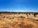 Agricultural land with a lot of potential in Castro Marim