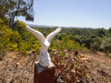 land For Sale in Aljezur Faro Portugal
