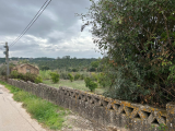 Land For Sale in Tomar, Santarém, Portugal