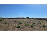 For sale Land - Ericeira 20 Km, A Casa das Casas
