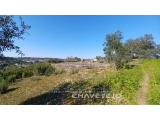 Land with project in the approval phase close to good access, 4 minutes from Tomar, Central Portugal