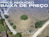 Rustic Land with Approved Project for One-Bedroom Wooden Home near Avecasta, Ferreira do Zezere