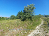 1,440 m² Plot Near Tomar With Construction Potential