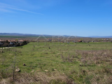 Land Plot for Sale in Kosharitsa
