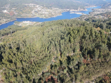 land For Sale in Ribeira de Pena, Vila Real, Portugal