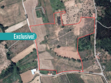 Land For Sale in Ferreira do Zêzere, Santarém, Portugal