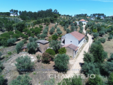 Charming Five-Bedroom Rural Retreat with Annex and Land near Tomar