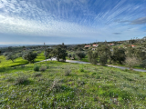 Land For Sale in Tomar, Santarém, Portugal