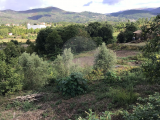 land For Sale in Cabeceiras de Basto, Braga, Portugal