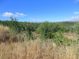 - Land - Faro - For Sale - 1009-1916