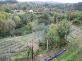 land For Sale in Terras de Bouro, Braga, Portugal