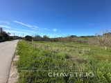 Rustic land with 5,840 m2 5 km from Tomar.