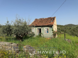 Old house to recover on land with 10,560 m2 near Chãos.