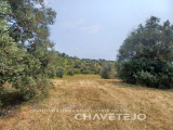 Land with 28,000 m2 about 8 km from Tomar.